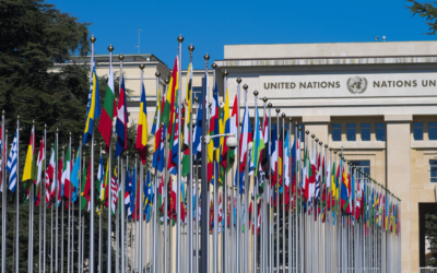 Advocacy e diritti umani – ottobre 2025